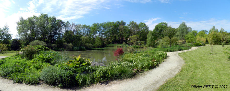 Jardin d'eau de l'Aubépré