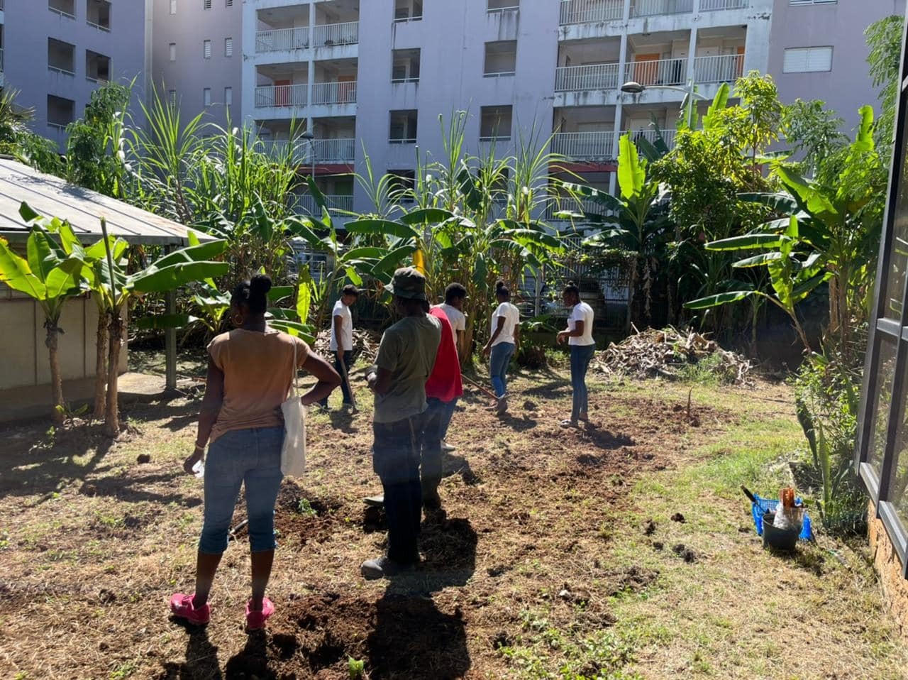 Le jardin de l'association Natirèl Insertion