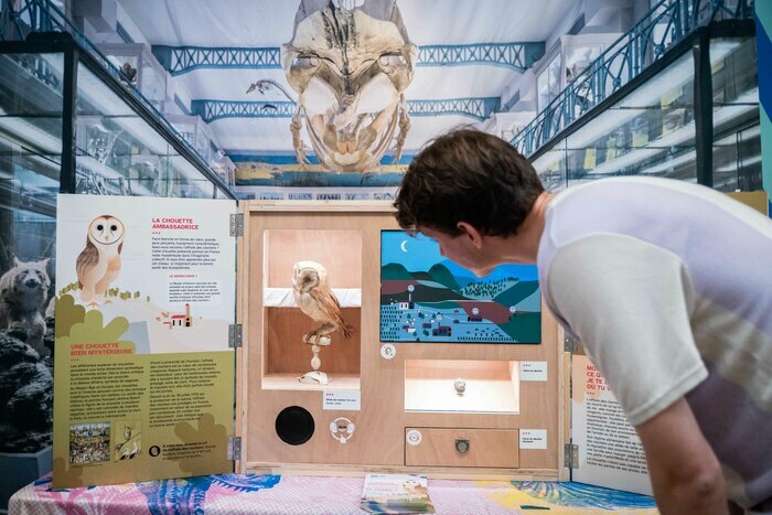 Mini Muséum de quartier : escale au Tire-Laine !