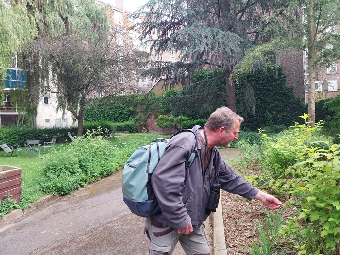 Balade nature / votre quartier en été