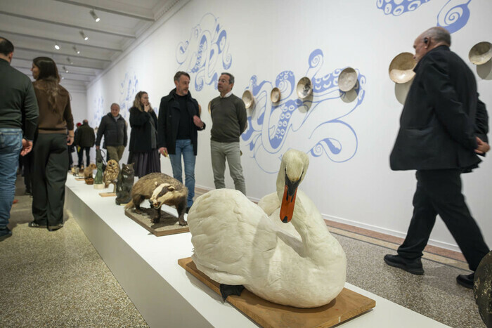 Exhibition Observatories