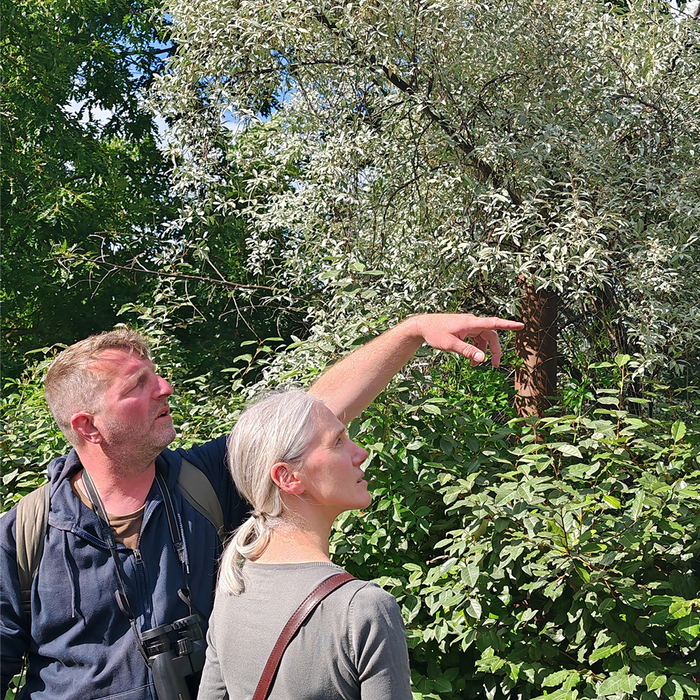 Balade Nature - Notre région en hiver / Citadelle