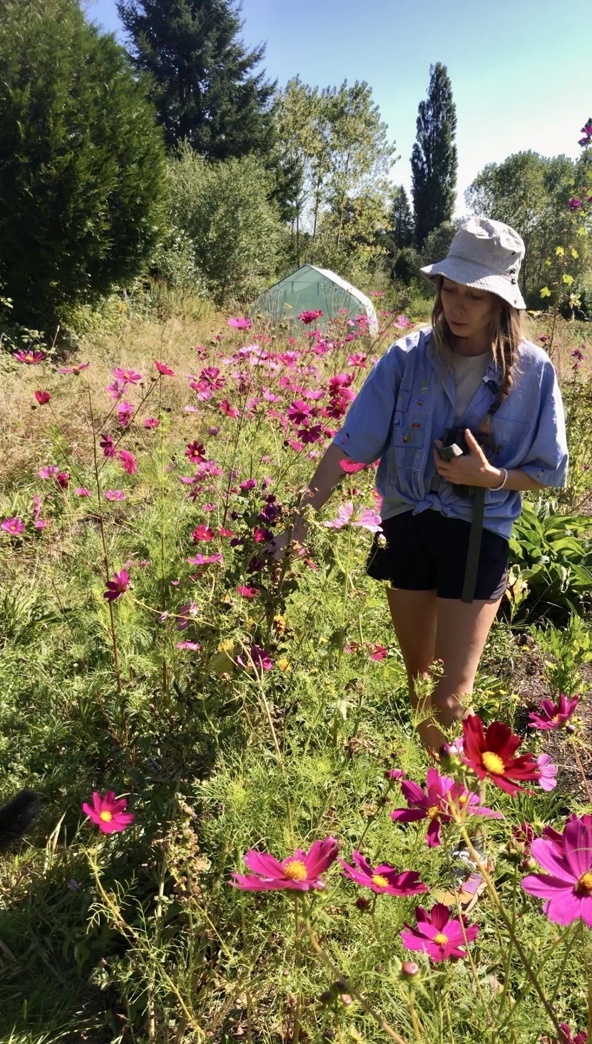 Visite d’un jardin de plantes aromatiques, sans la vue