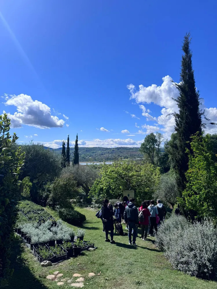 Découverte du jardin d’officine : une promenade entre nature et détente