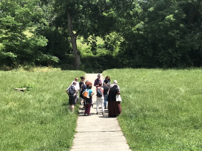 BALADE / Le Parc des Beaumonts : des plantes sauvages qui soignent et qui se mangent - balade botanique
