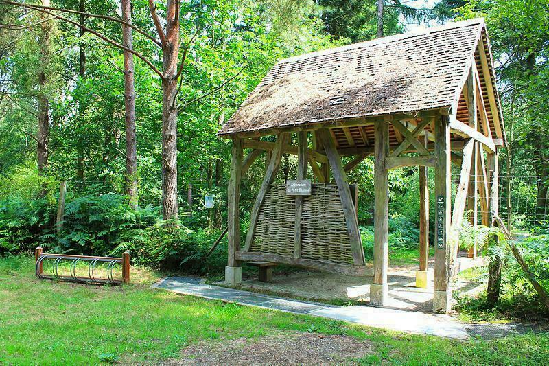 DERNIÈRES PLACES | Escap'Arboretum