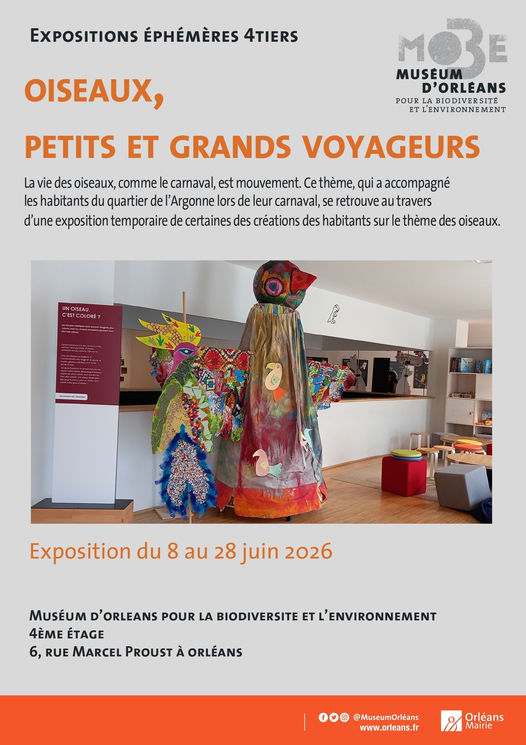 Oiseaux, petits et grands voyageurs