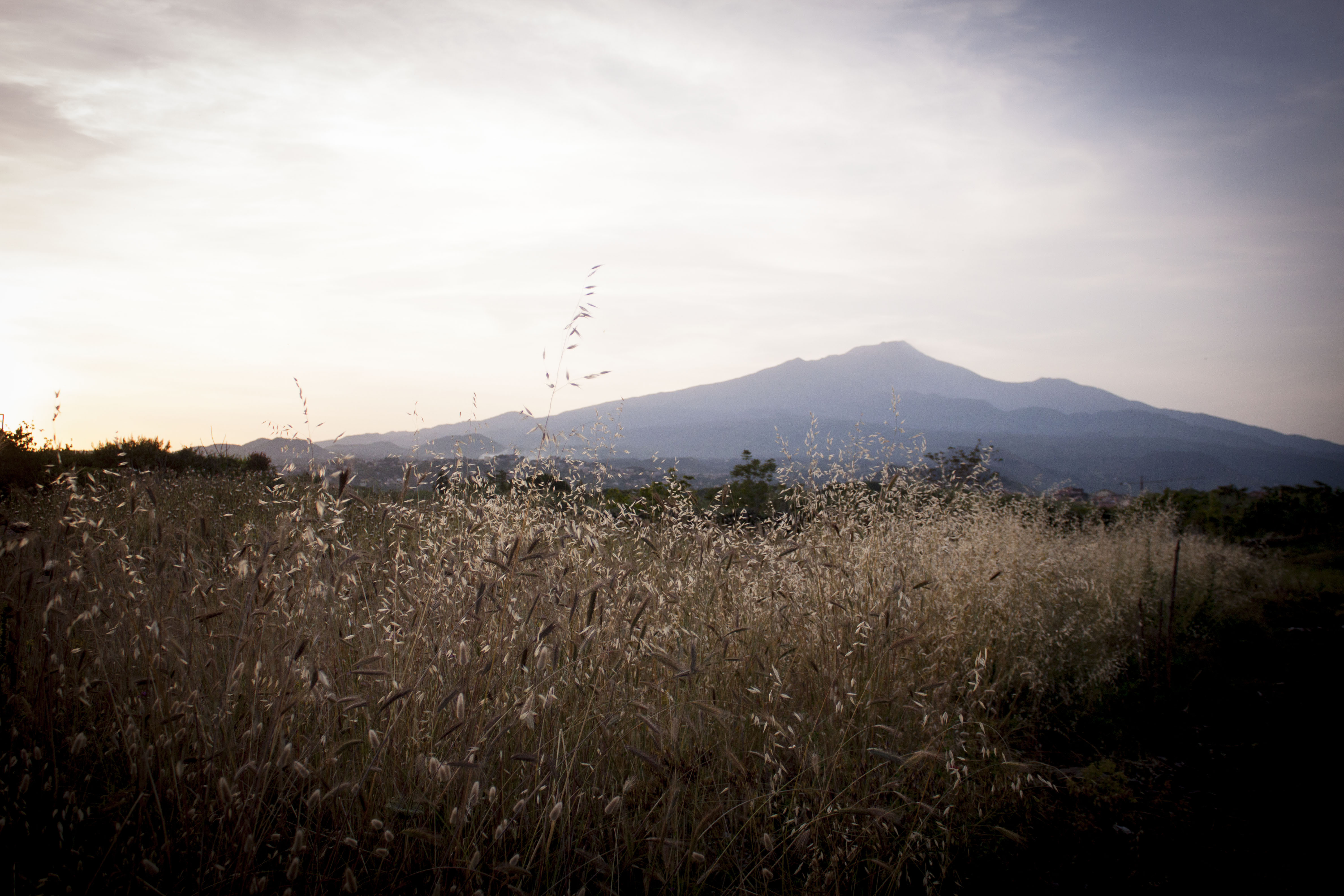 Le jardin sicilien qui donne sur l’Etna