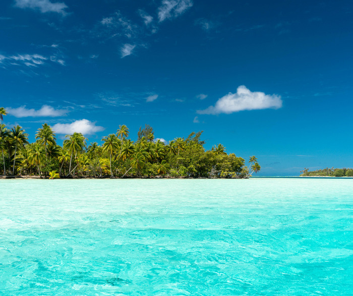 Journée polynésienne