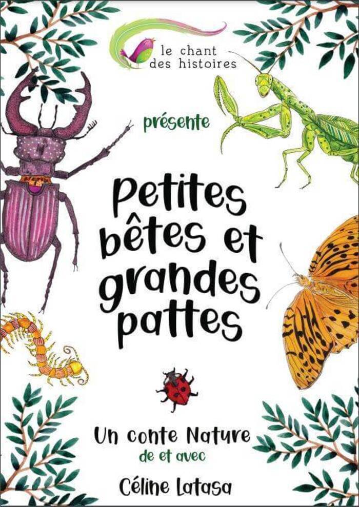 PréhistoSite de Brassempouy
