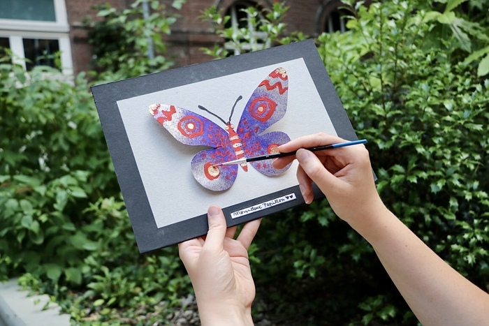 Les petits labos du musée d'histoire naturelle à la bibliothèque ; Somptueux papillons.