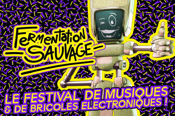 Fermentation sauvage #2 - Violette Indigo / Pö / Retro Cassetta / Lynx IRL