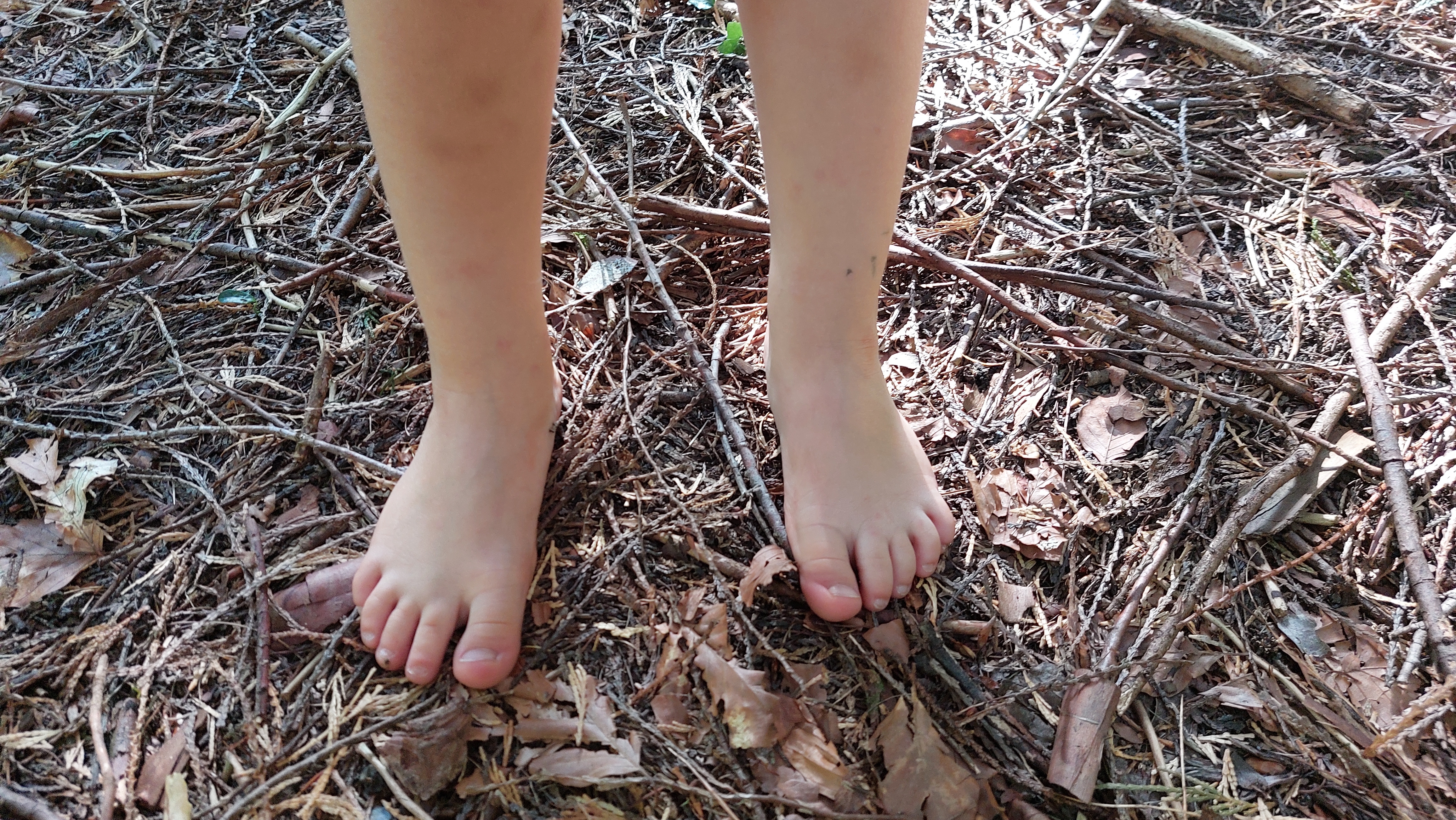 Comment marcher dans la nature ?