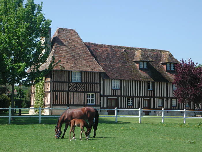 Haras de la Barbotière