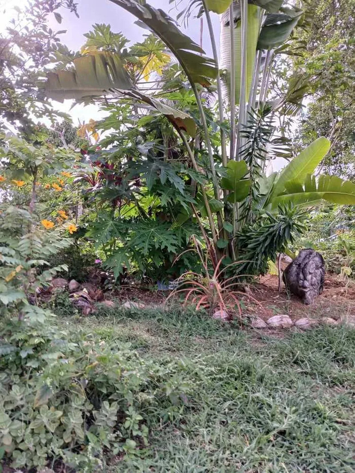 jardin Bitabita