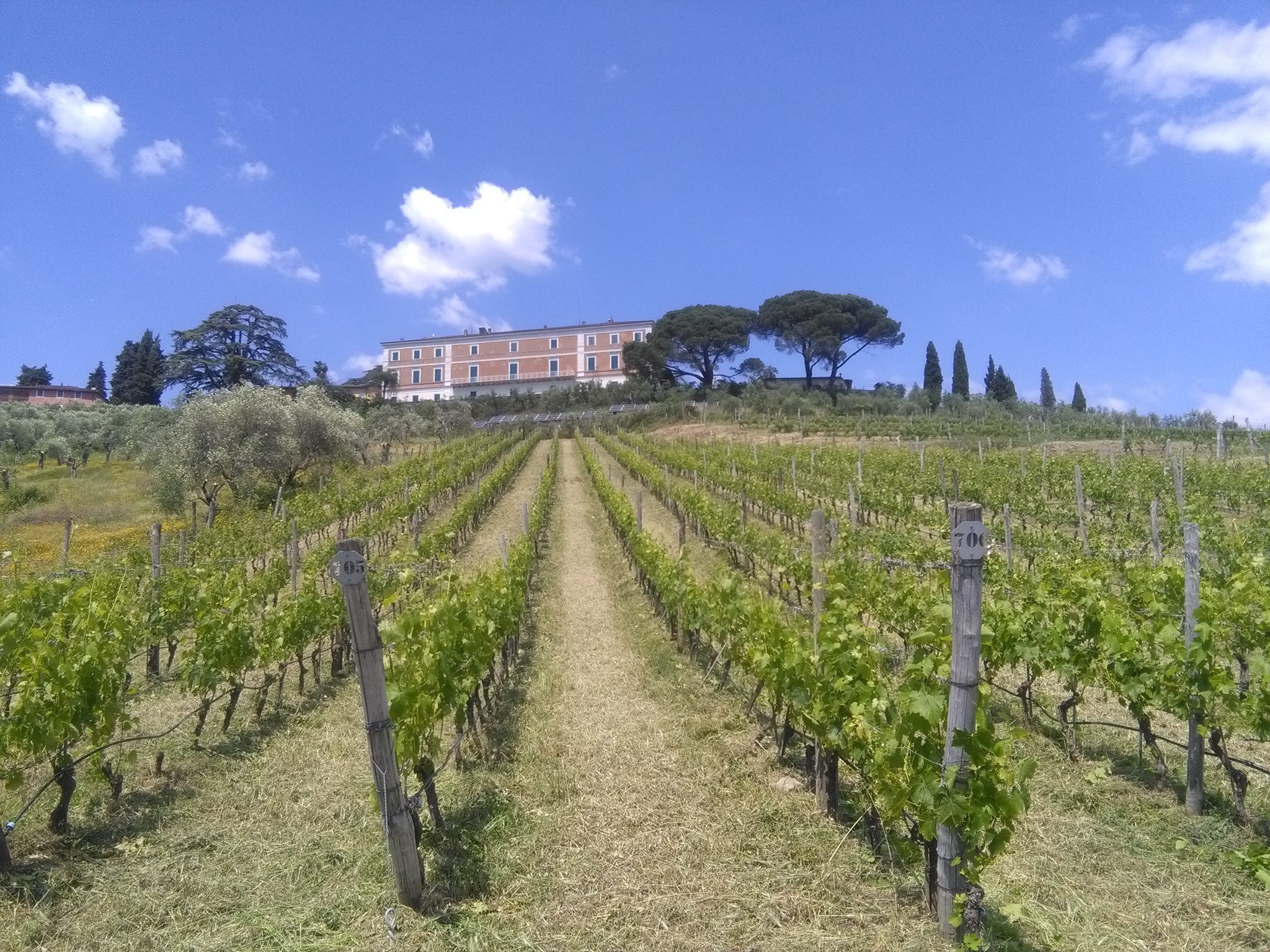 La vue du goût, visite du jardin de Tenuta Maria Teresa et dégustation de vins
