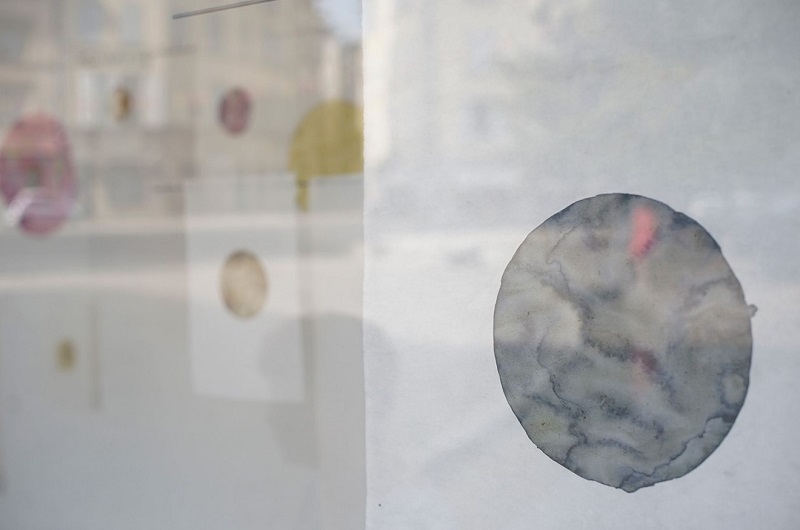 Exposition Collecter les temps, Adélaïde Gaudéchoux & Julie Knaebel
