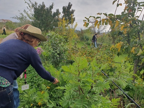 Chasse au trésor dans le jardin-forêt