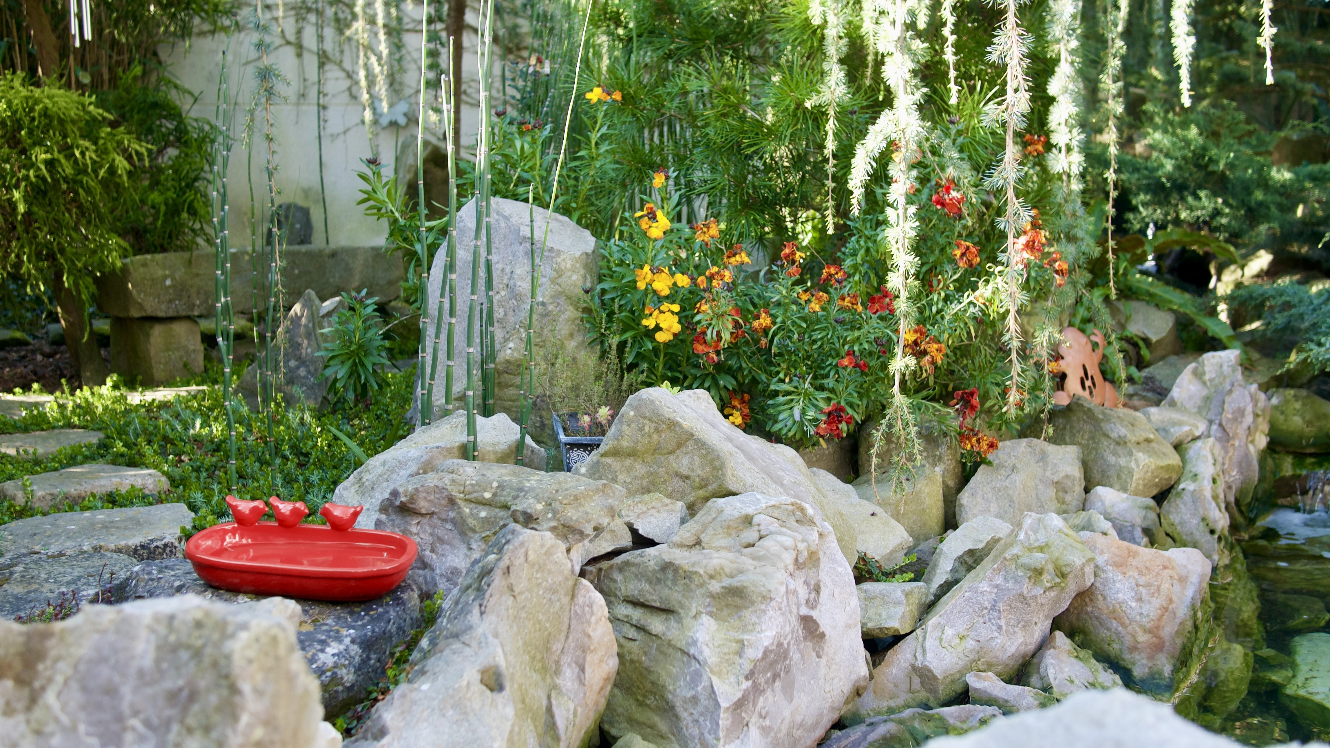 Visite d'un jardin japonisant