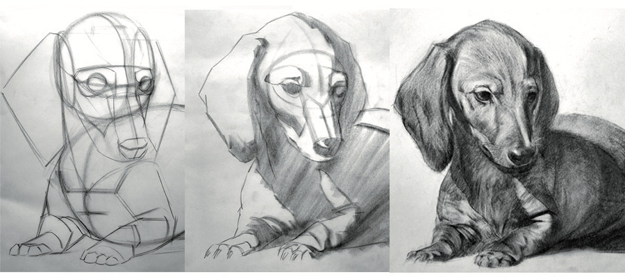 Mon animal en dessin