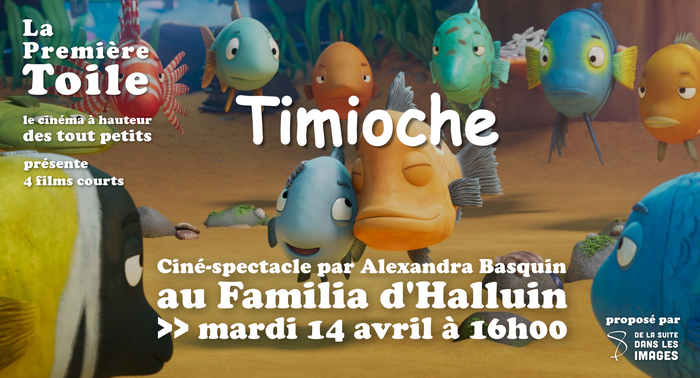 Timioche