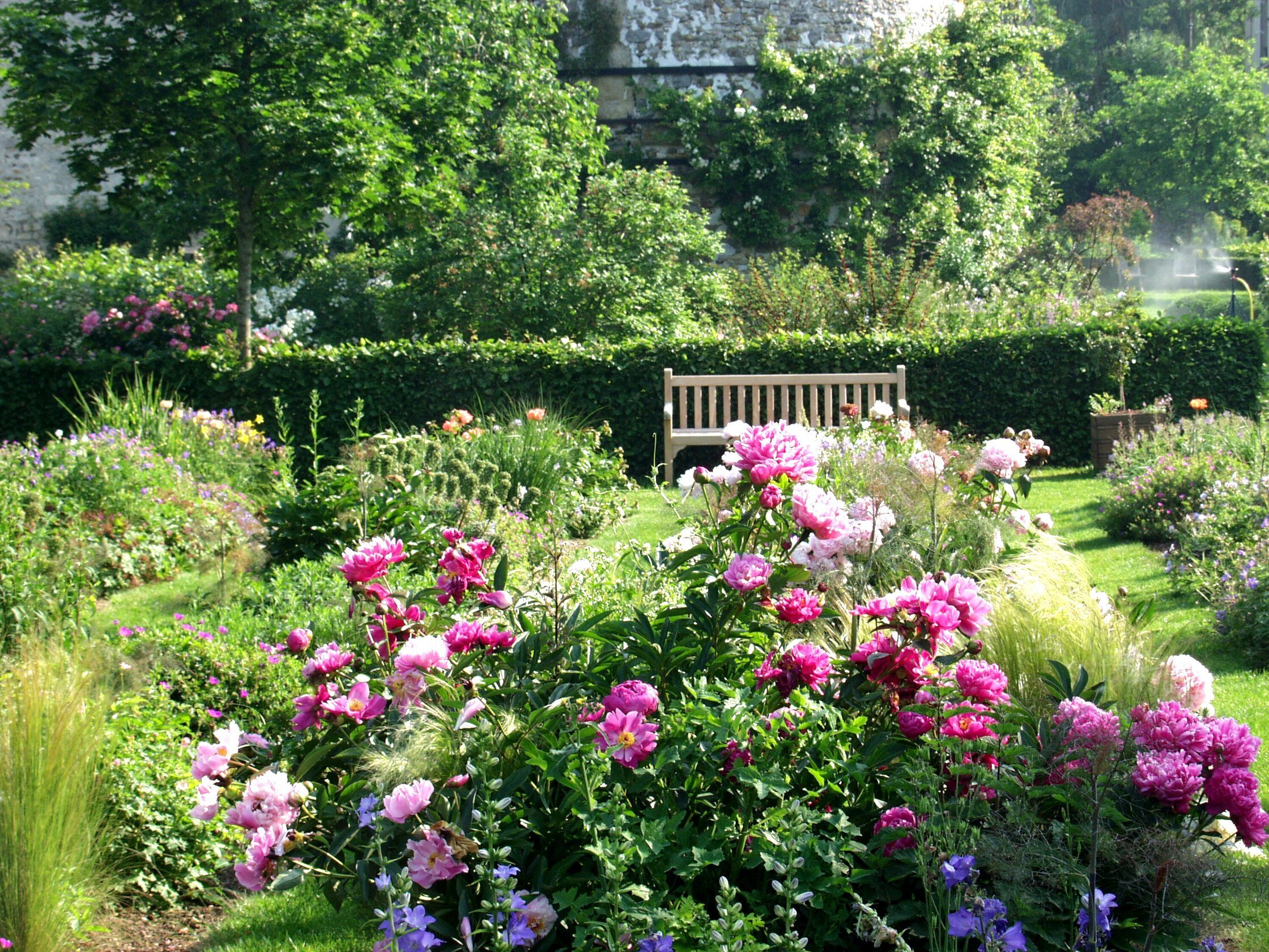Visite découverte du jardin