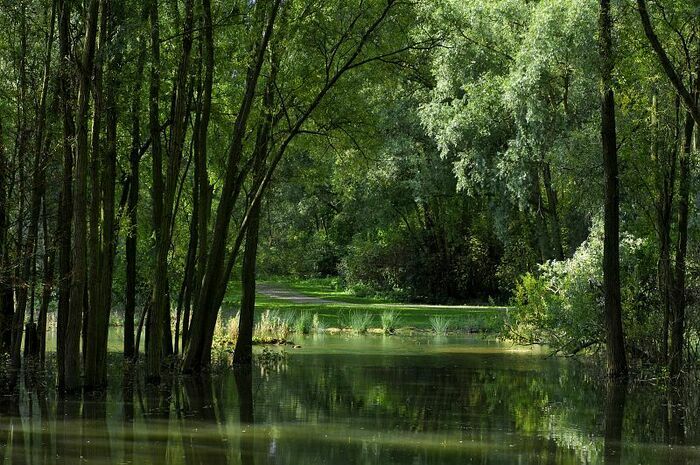 Balade naturaliste : le musée de la nature