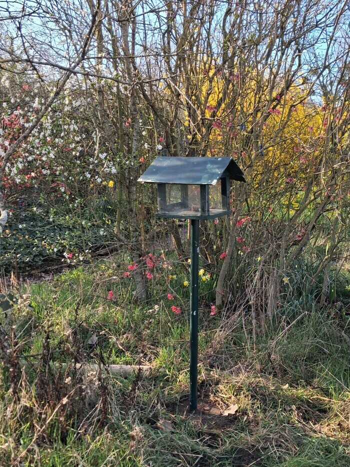 Le jardin de l'Apacrete