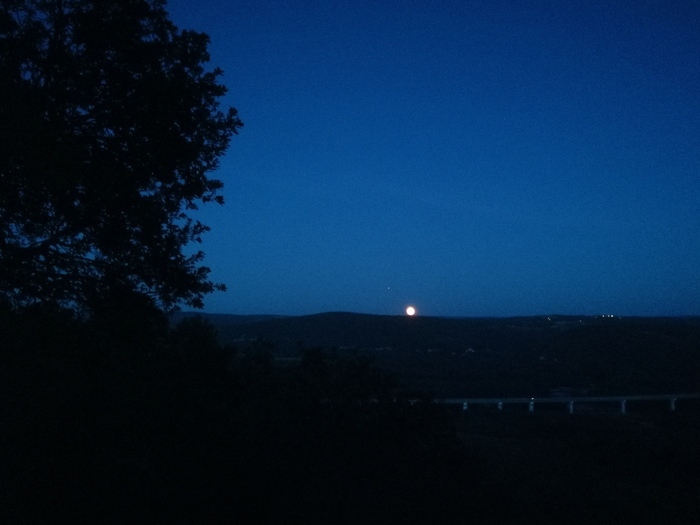 Dans le cadre de Jardins ouverts : une nuit à la belle étoile au cœur de la forêt