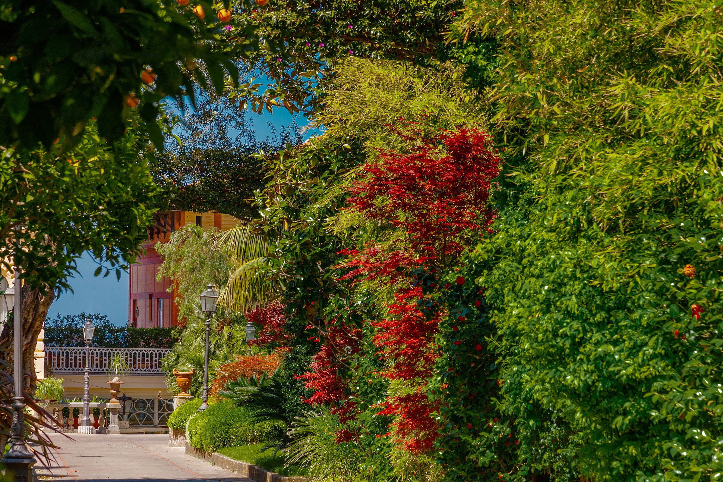 Visite du jardin privé du Grand Hotel Excelsior Vittoria
