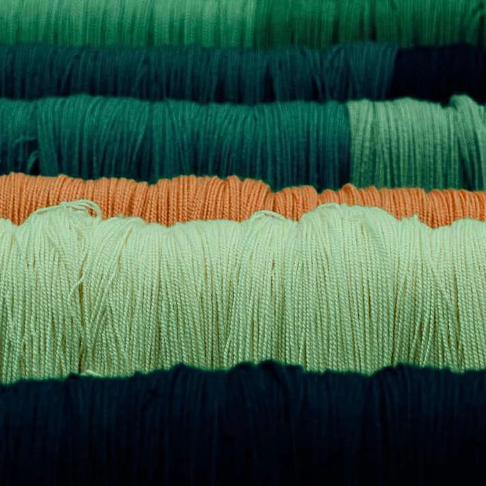 Atelier de teinture « Recherche colorée »
