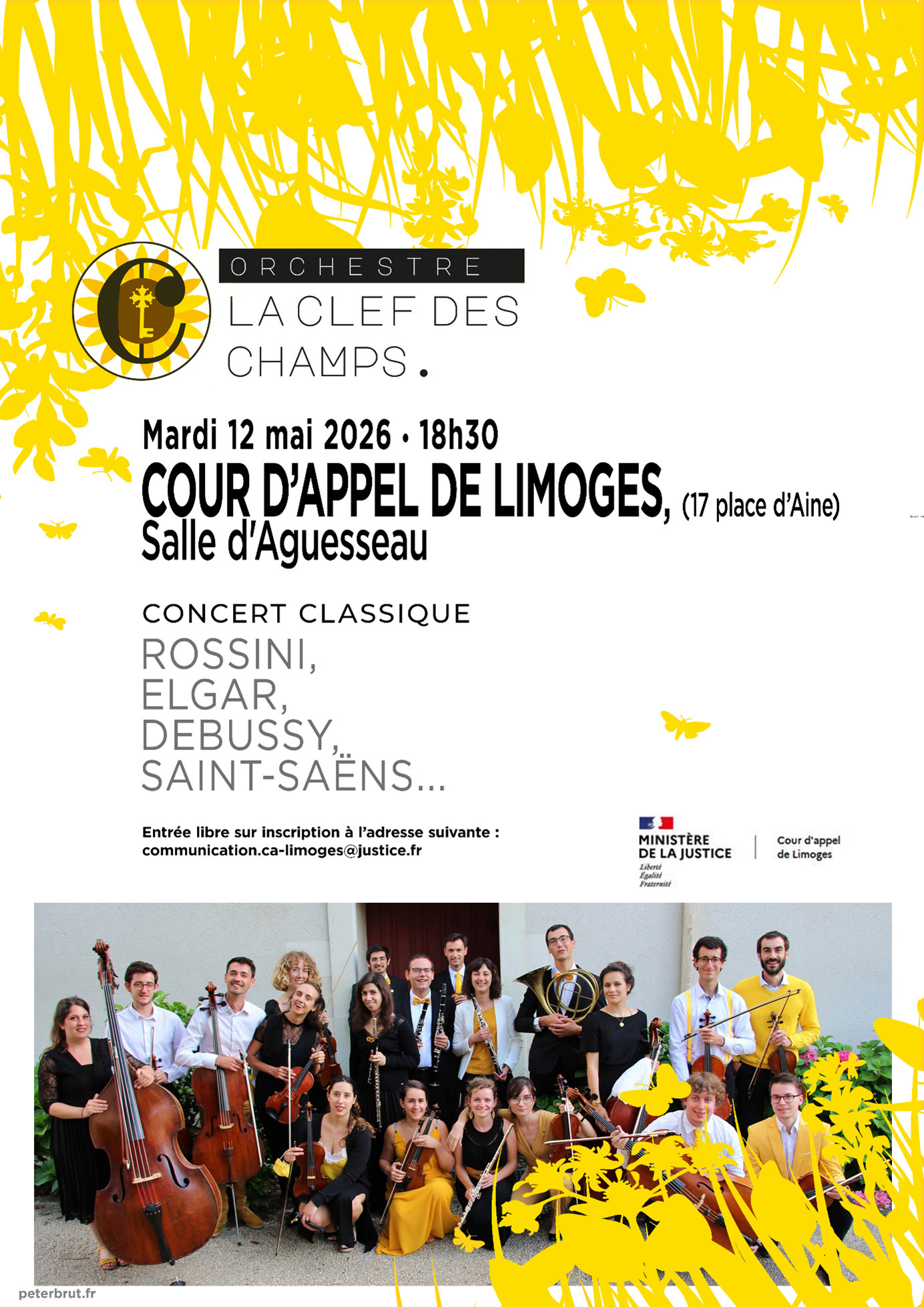 Concert classique à la cour d'appel avec l'orchestre « La clef des champs »