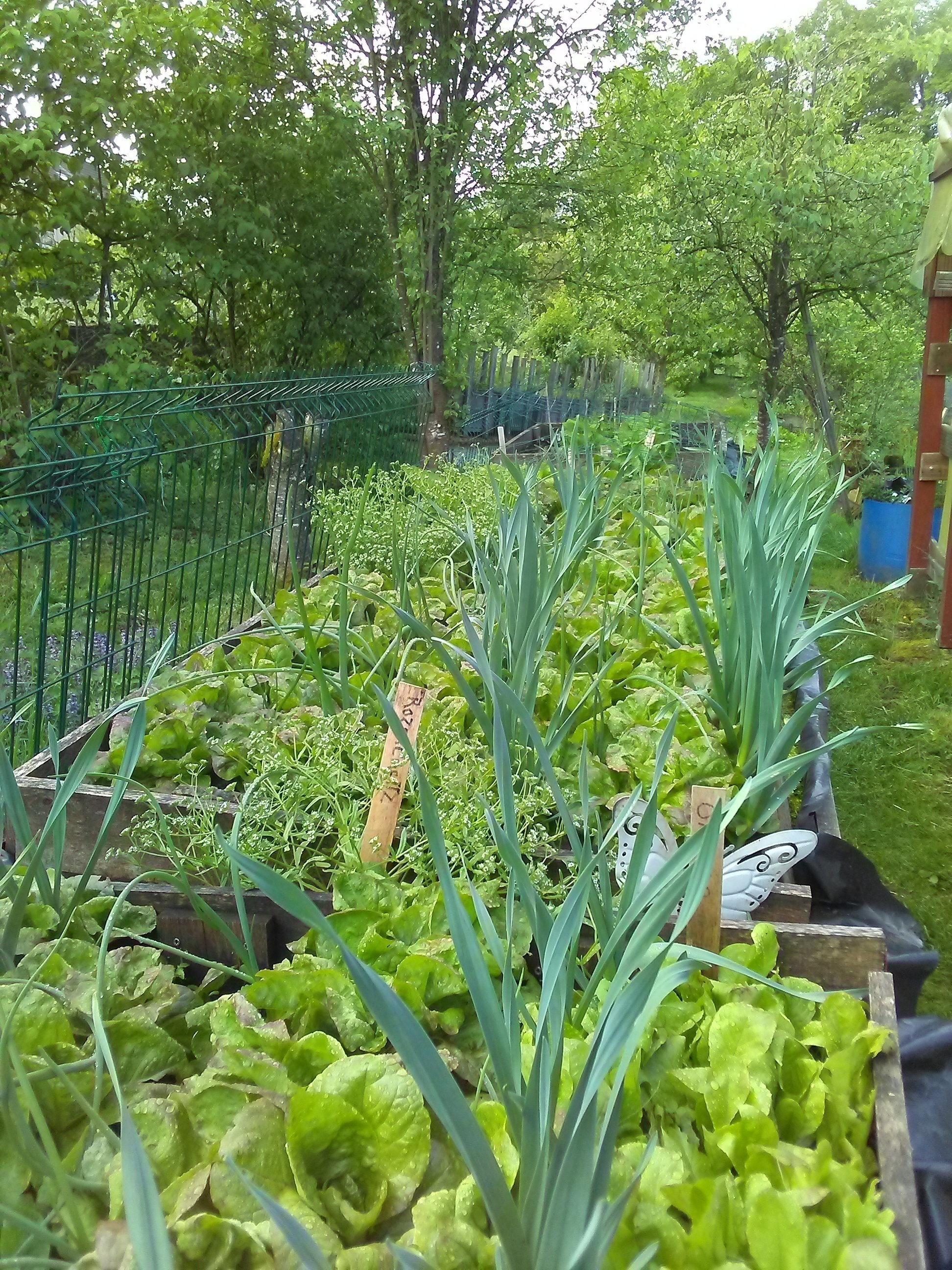 Visite des jardins de Fraîche-Comté