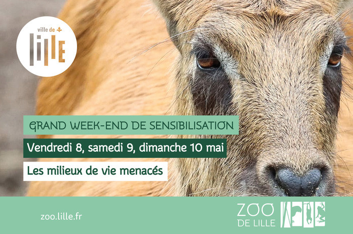 Grand week-end de sensibilisation : les milieux de vie menacés