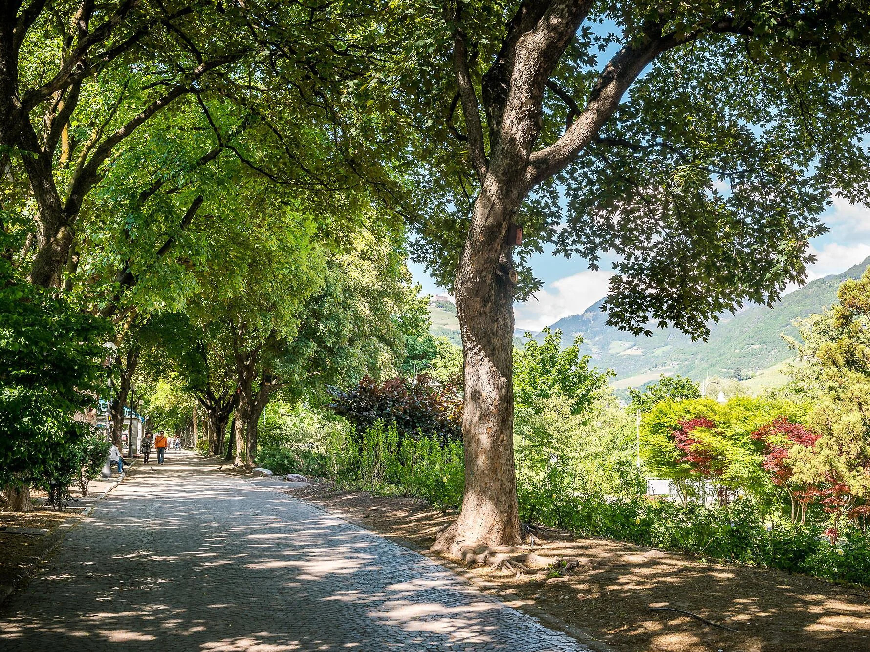 Le vert historique de Bolzano : du parc Marienklinik aux promenades du Talvera