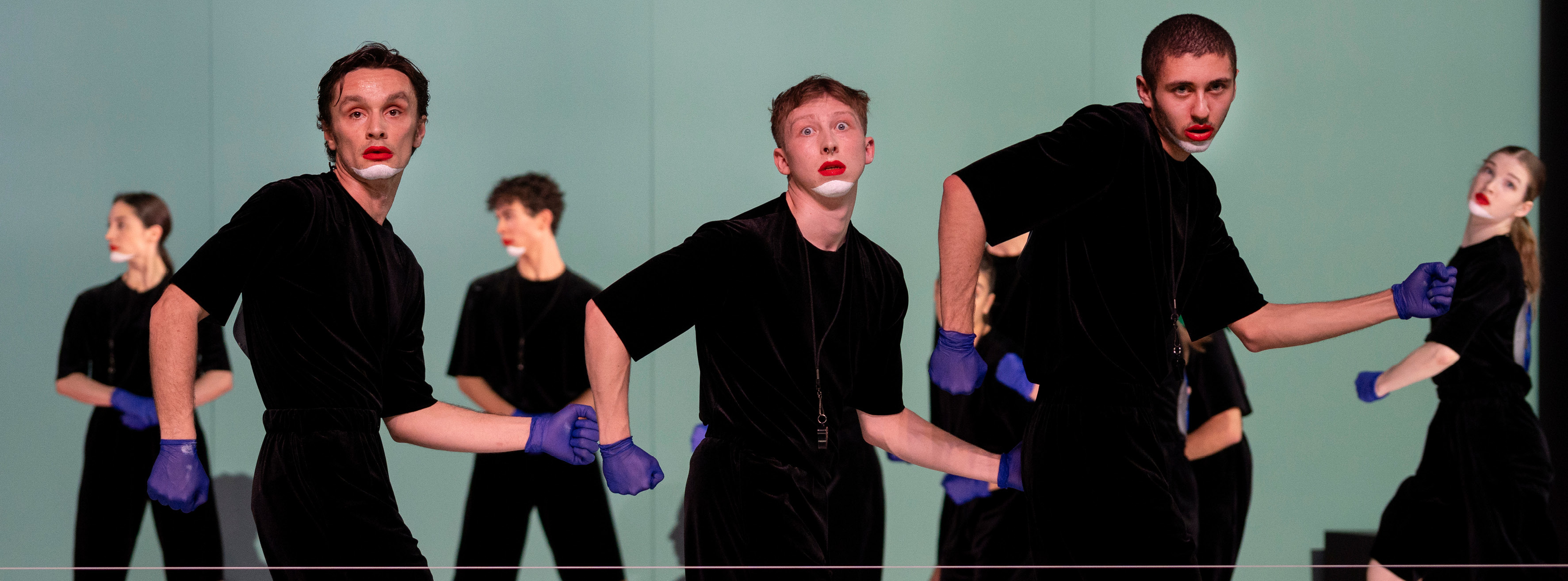Canine Jaunâtre 3