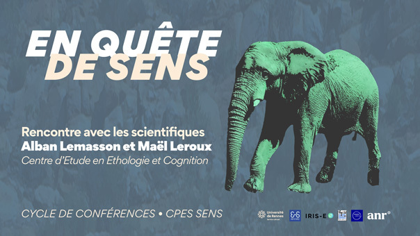 En Quête de Sens : Alban Lemasson et Maël Leroux