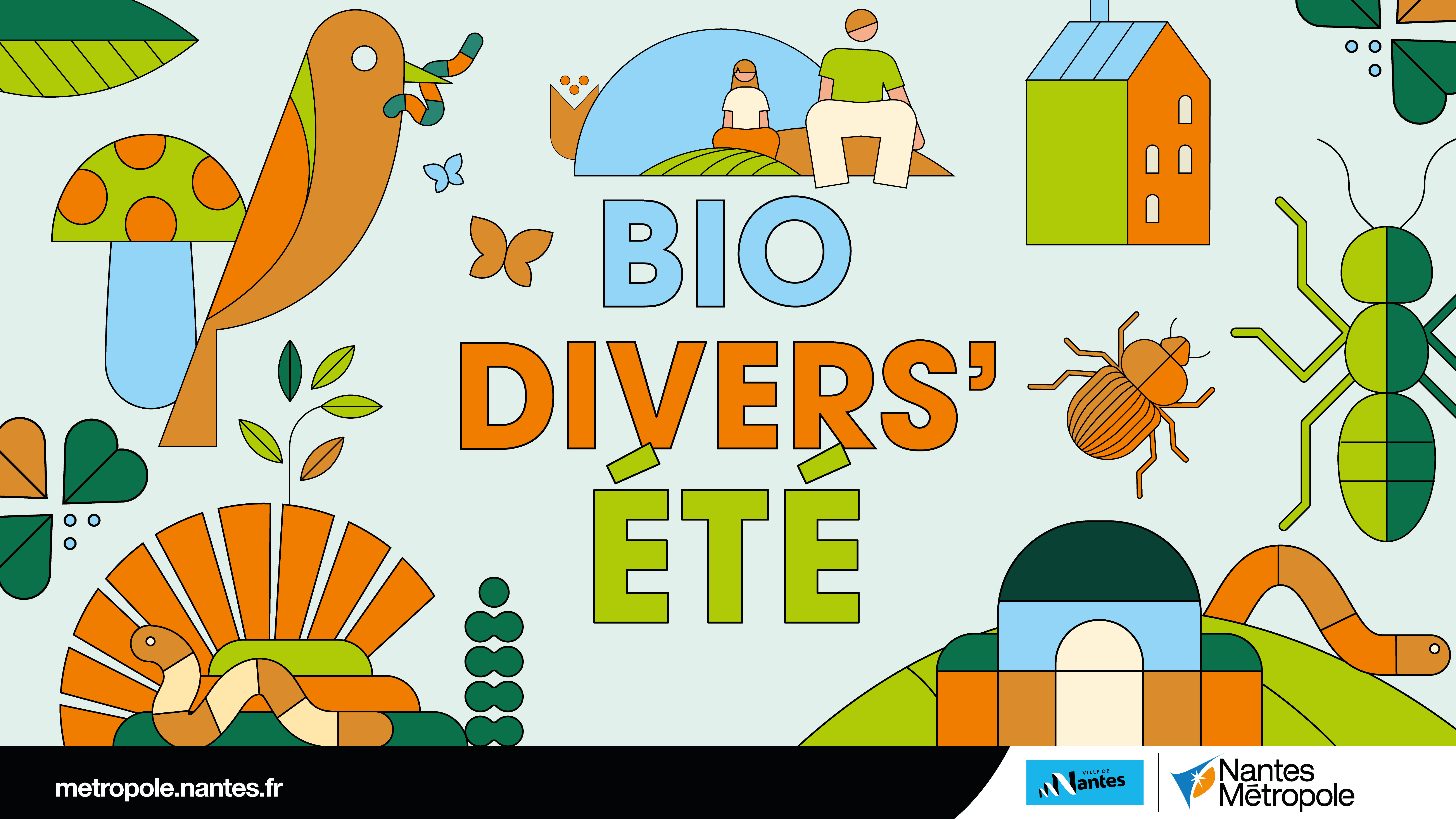 Les insectes terricoles