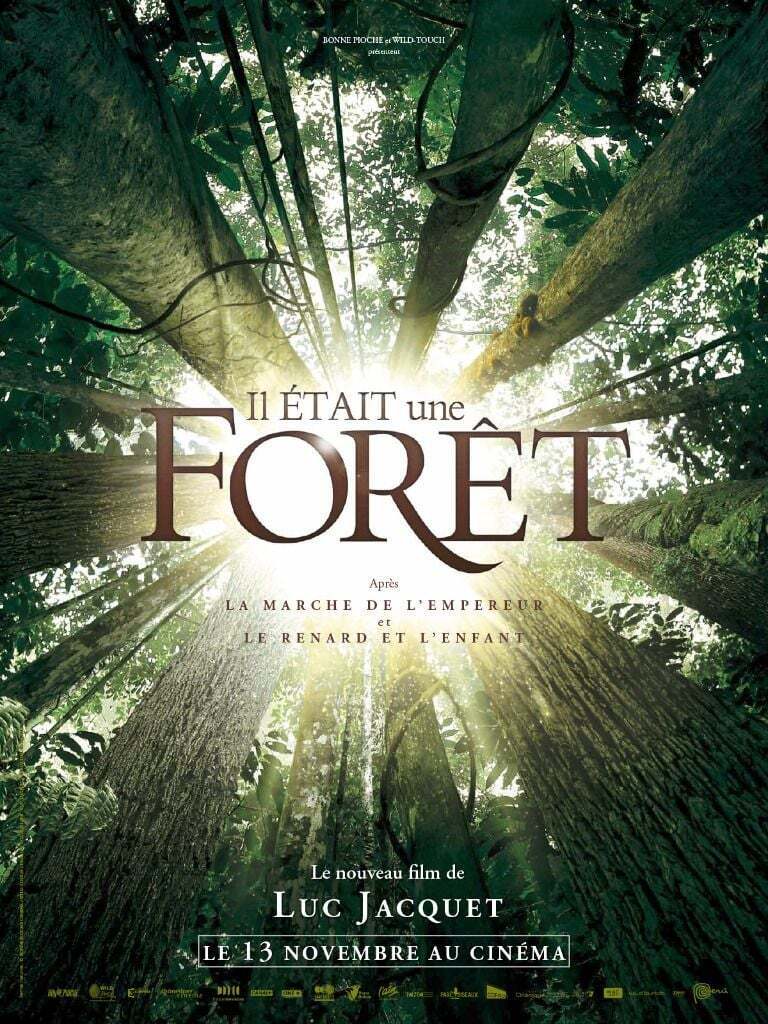 IL ÉTAIT UNE FORÊT — Hommage à Francis Hallé