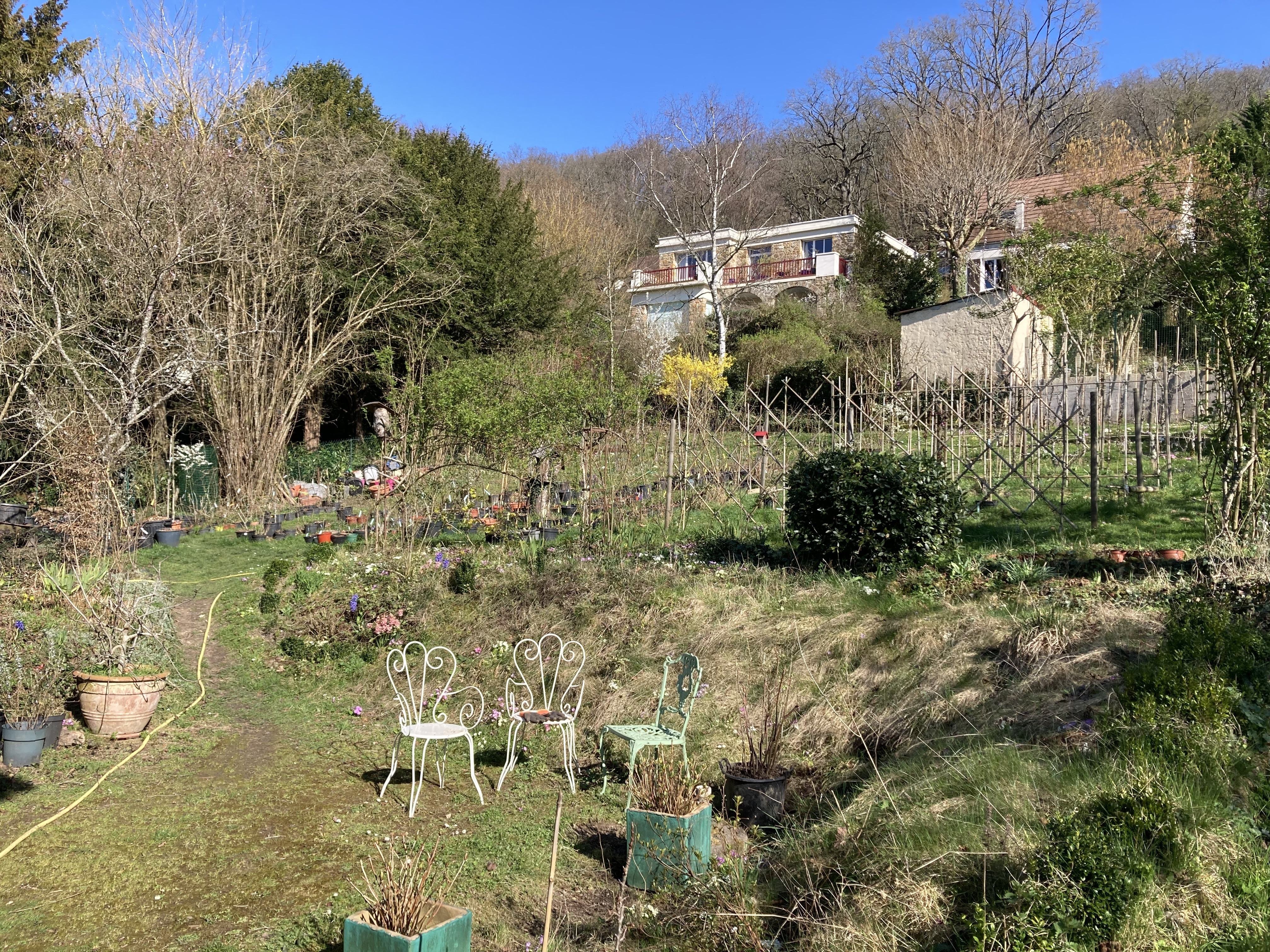 Visite de mon jardin fruitier pédagogique