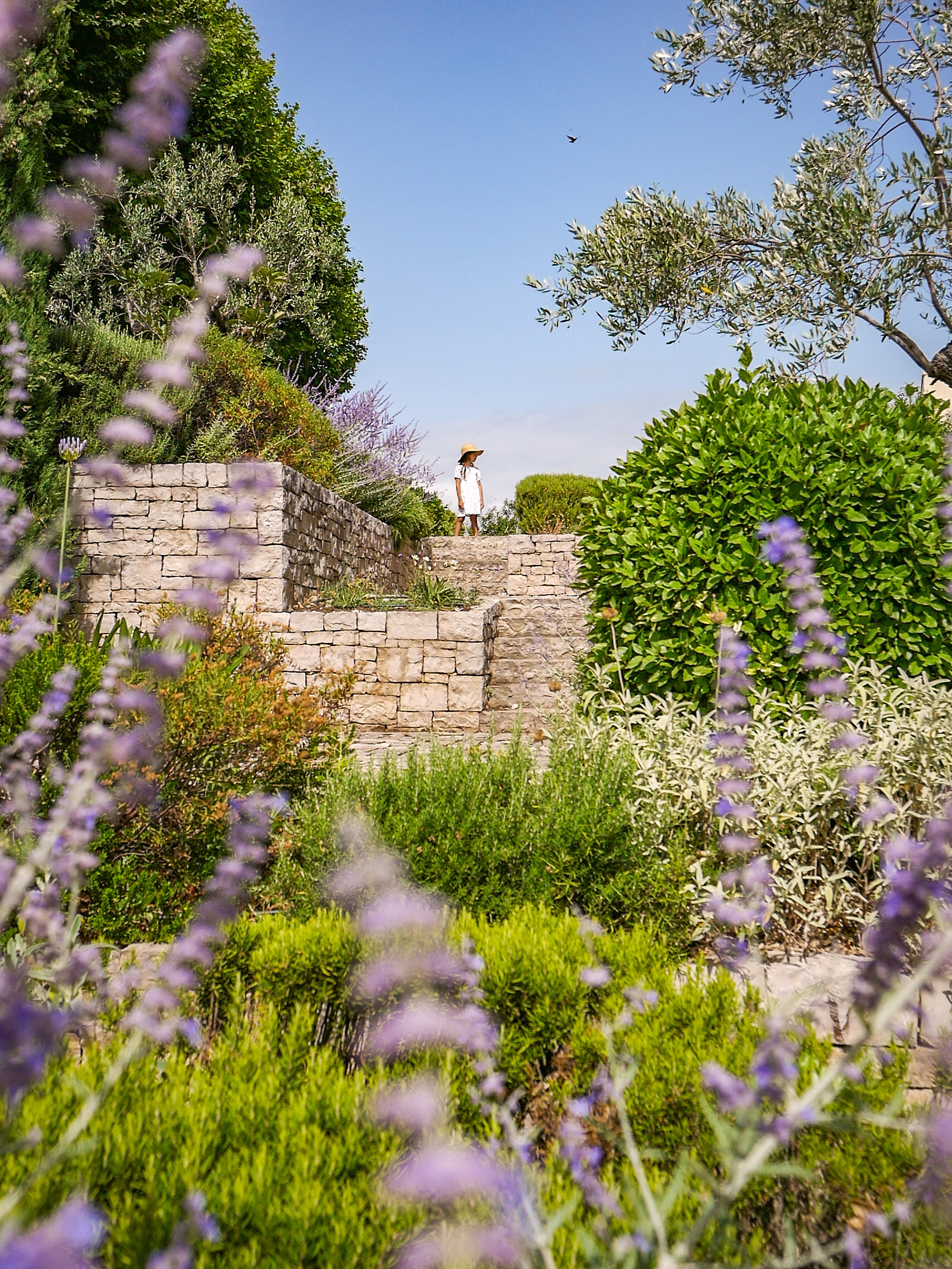 Balade découverte des plantes du jardin des senteurs