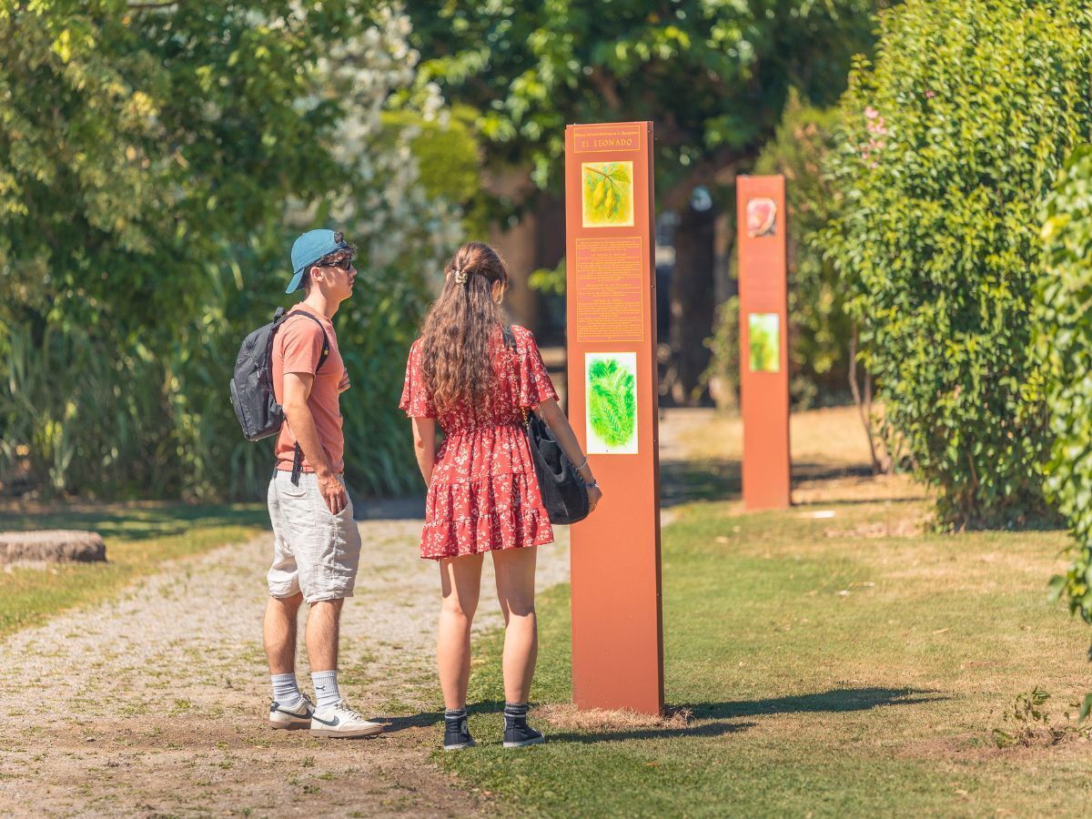 Visite guidée du Jardin Tinctorial : de la plante à la couleur