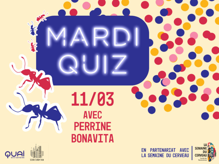 Mardi quiz - Foules avec Perrine Bonavita Le 11 mars 2025