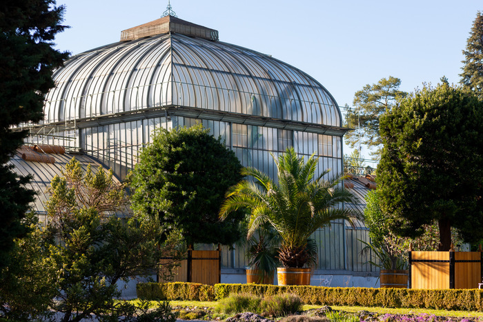 Behind-the-scenes tour at Jardin Botanique de Genève