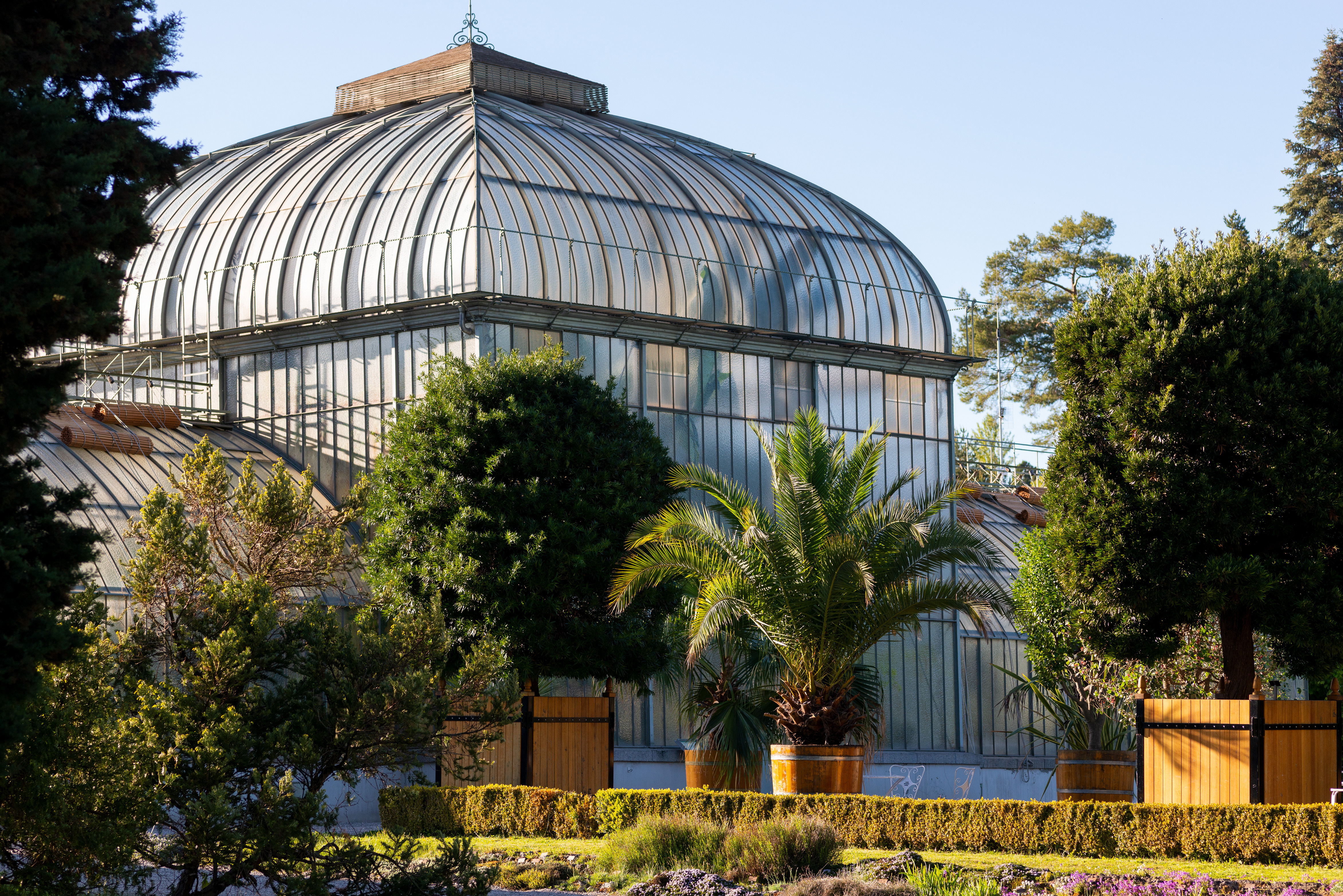 À quoi servent les jardins botaniques ?