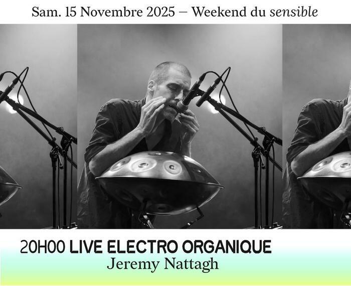 Live Electro Organique - Jeremy Nattagh