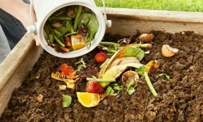 Comment bien composter ?