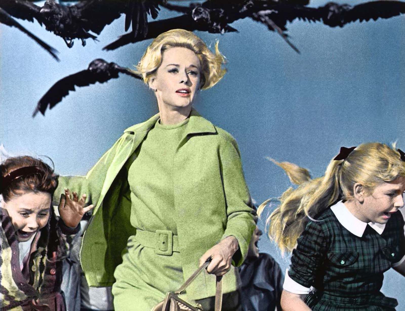 Astrée - Cinéclub - Les Oiseaux