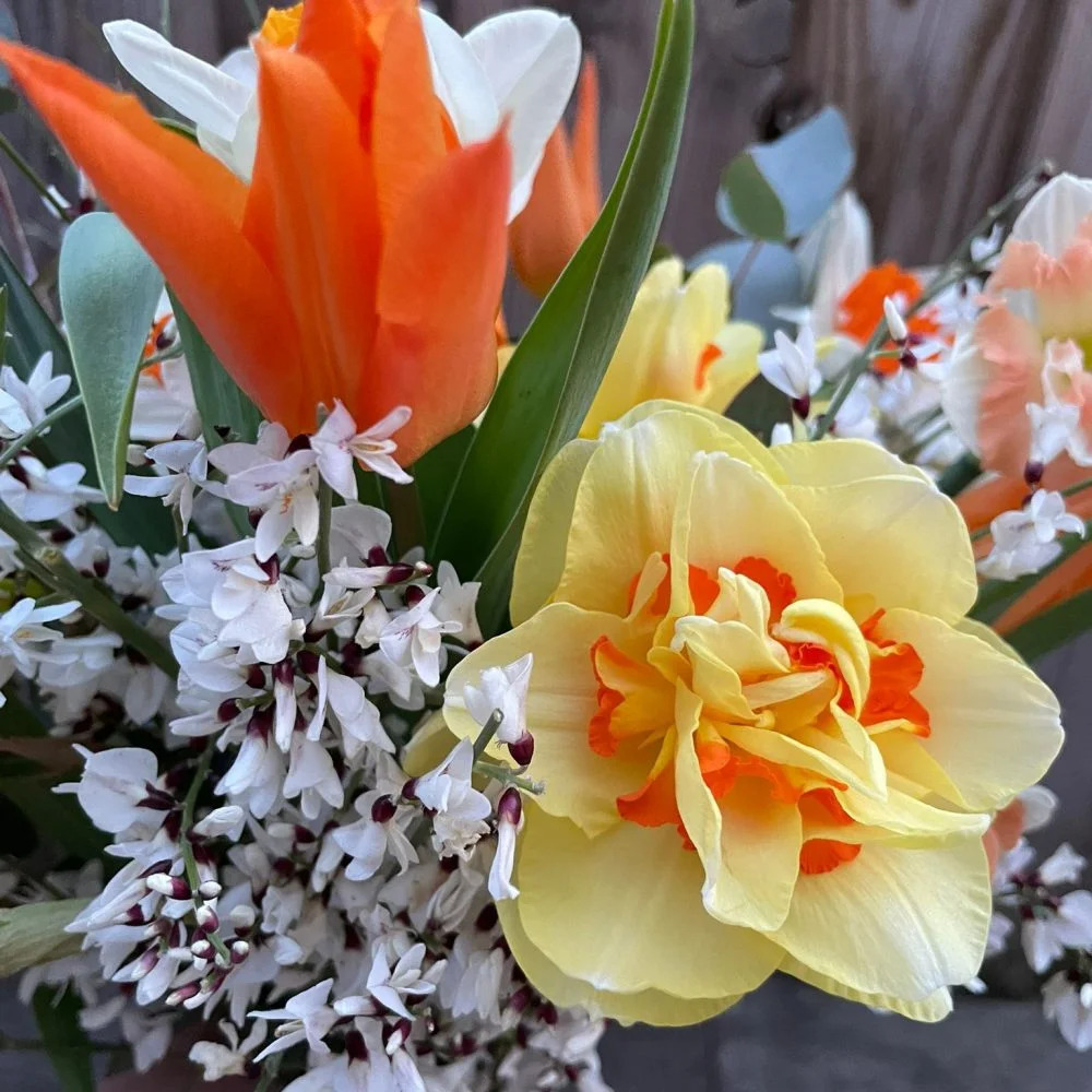 Atelier floral au jardin de Glycine