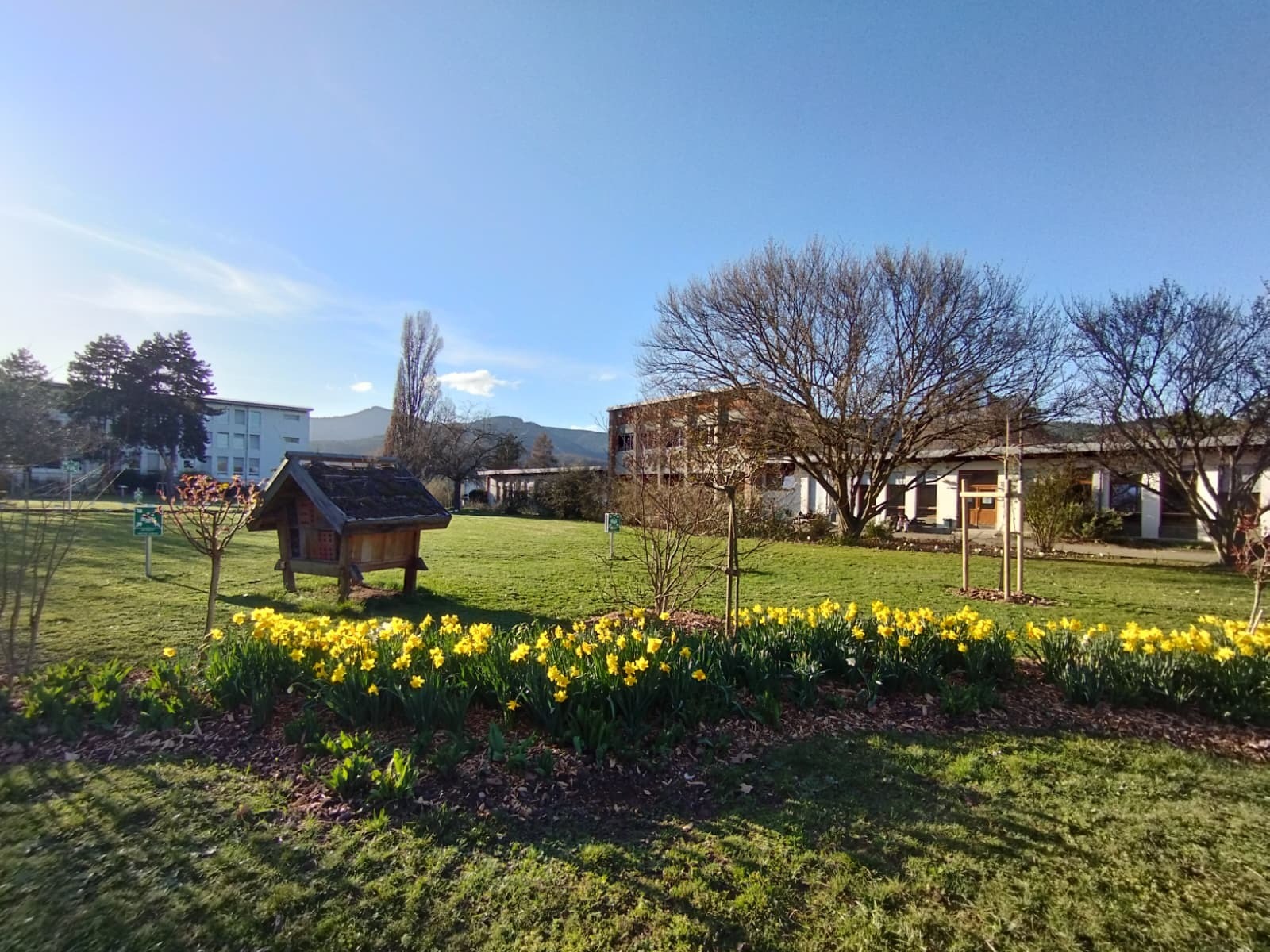 Jardin à perte de vues